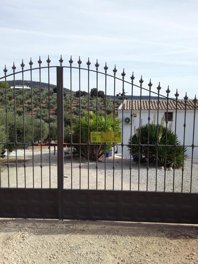 Hacienda La Buena Vida B&B En Appartementen Casita Almendas La Carrera de la Vina Exterior photo